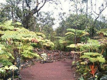 Volcano Rainforest Lodge מראה חיצוני תמונה